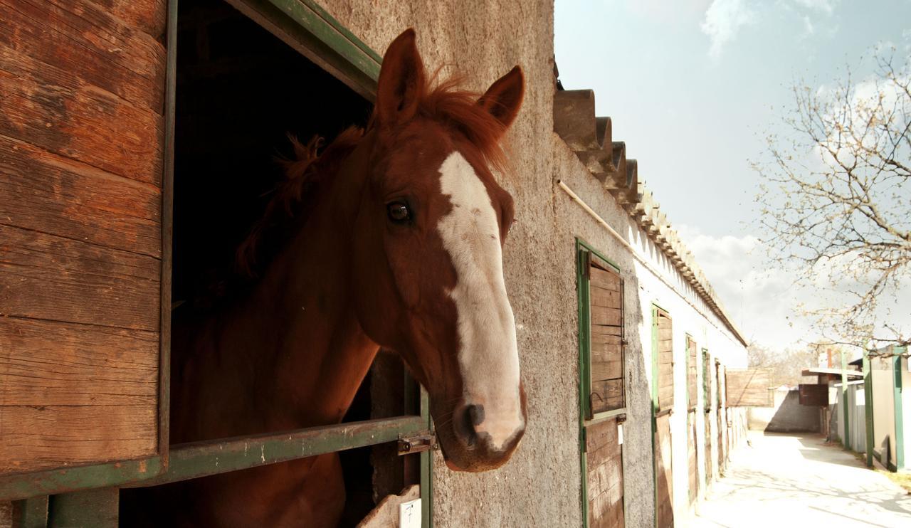 Agriturismo Fasano Cassano delle Murge Buitenkant foto
