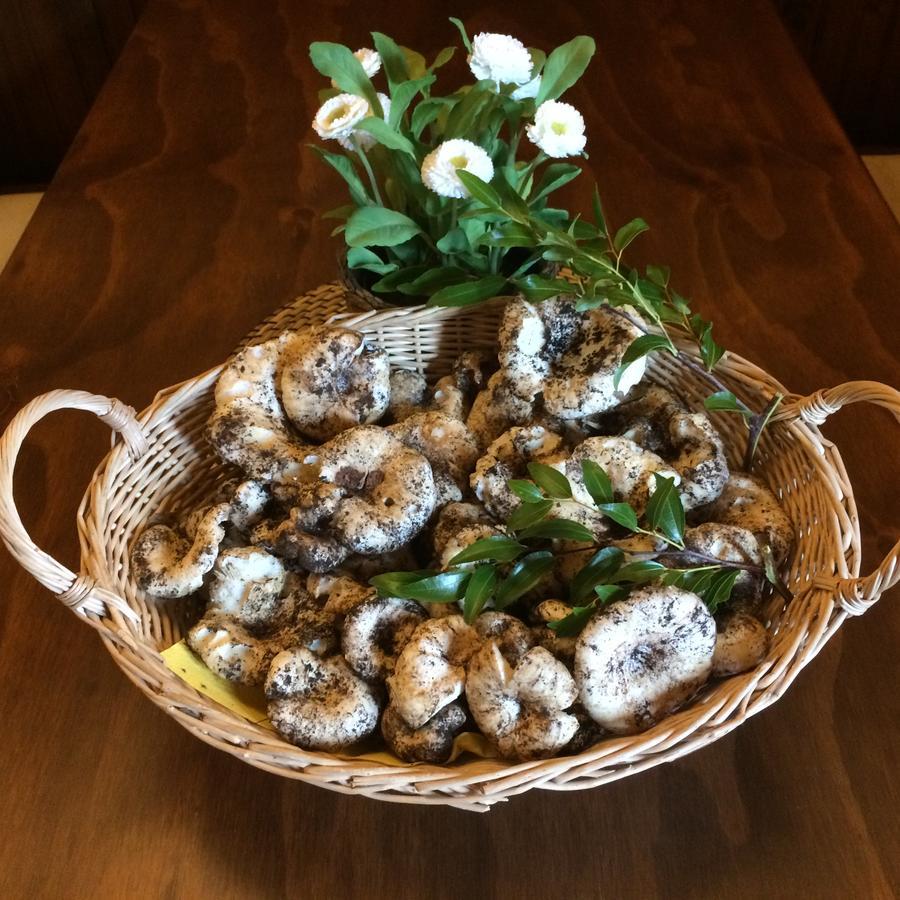 Agriturismo Fasano Cassano delle Murge Buitenkant foto